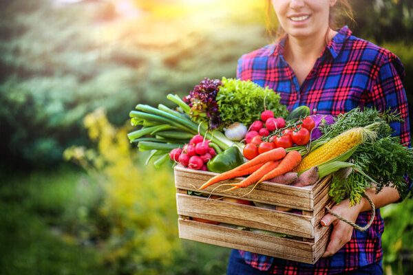 Brokkoli - rsz 1rsz shutterstock 1564791409 Frau mit Gemüsebox auf Feld